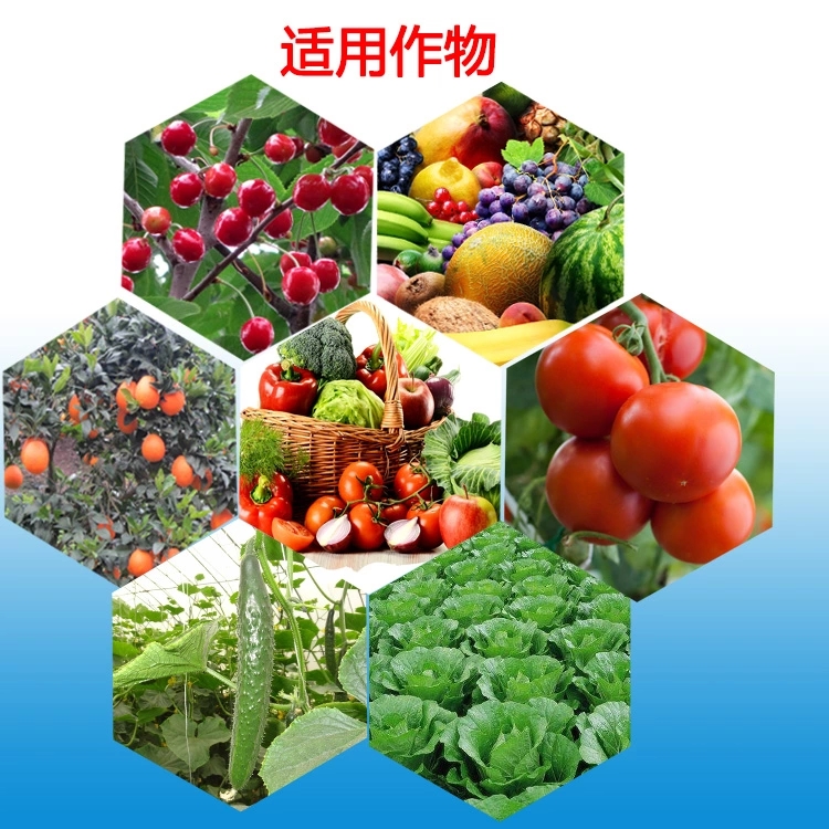 春雷溴菌腈 细盾27%春雷霉素溴菌腈蔬菜软腐病炭疽病细菌性角