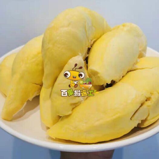 南宁榴莲 <尖竹汶3>8KG空运深圳5.30-5.31日发货4-5个
