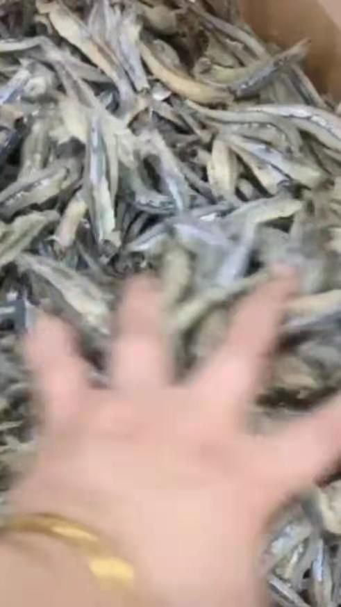 南宁青鱼干 小青公鱼干小鱼仔，大量现货，实物图一箱30斤
