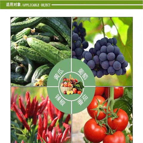 强品枯草芽孢杆菌100亿每克500克大包装根腐病溃疡软腐病