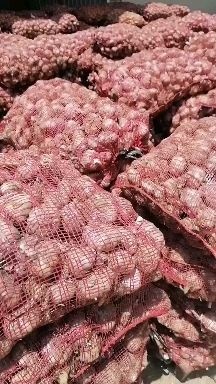 邳州市红皮蒜  邳州大蒜