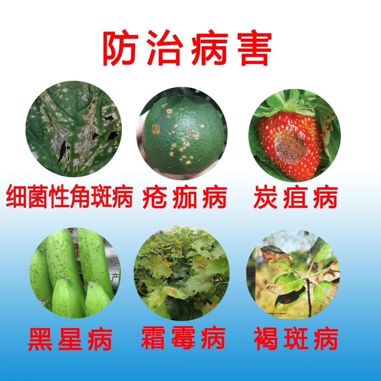 春雷溴菌腈 细盾27%春雷霉素溴菌腈蔬菜软腐病炭疽病细菌性角