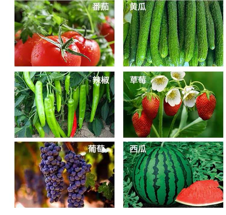 强品枯草芽孢杆菌100亿每克500克大包装根腐病溃疡软腐病