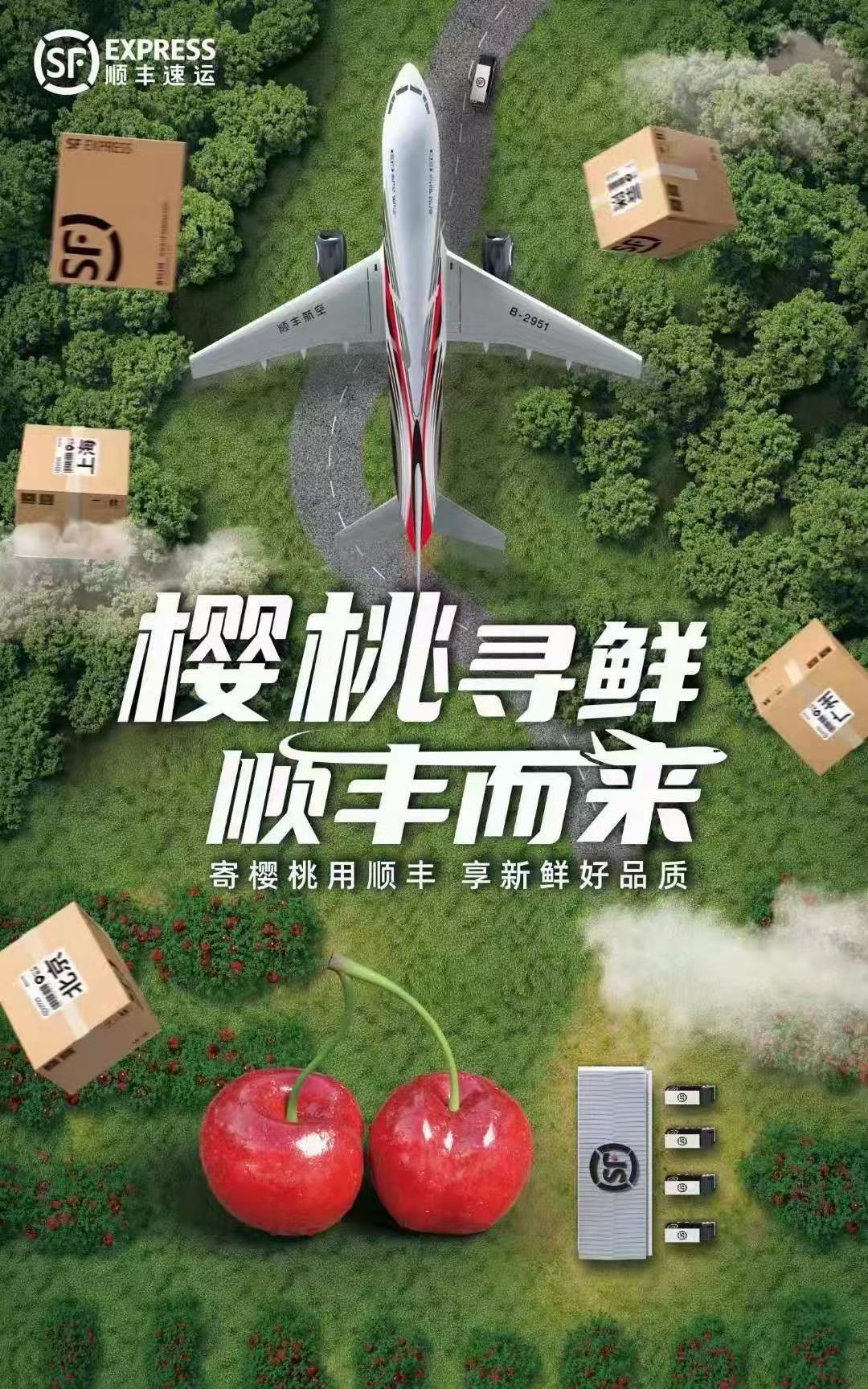 套袋车厘子美早 天水秦州烟铺高山产地大樱桃个大非常甜现摘现发
