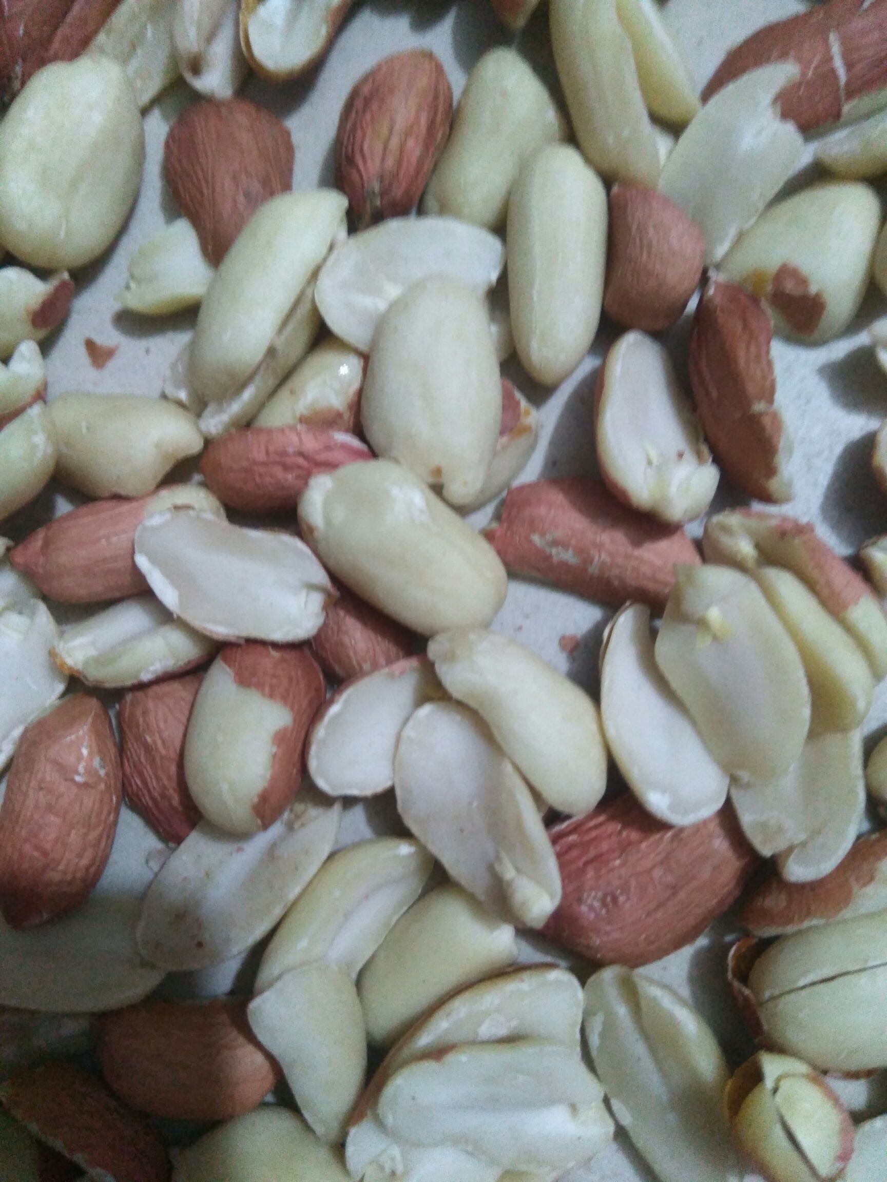 花生米大辨米，干净无杂无霉变，出油率高，是炸油，食品厂用。