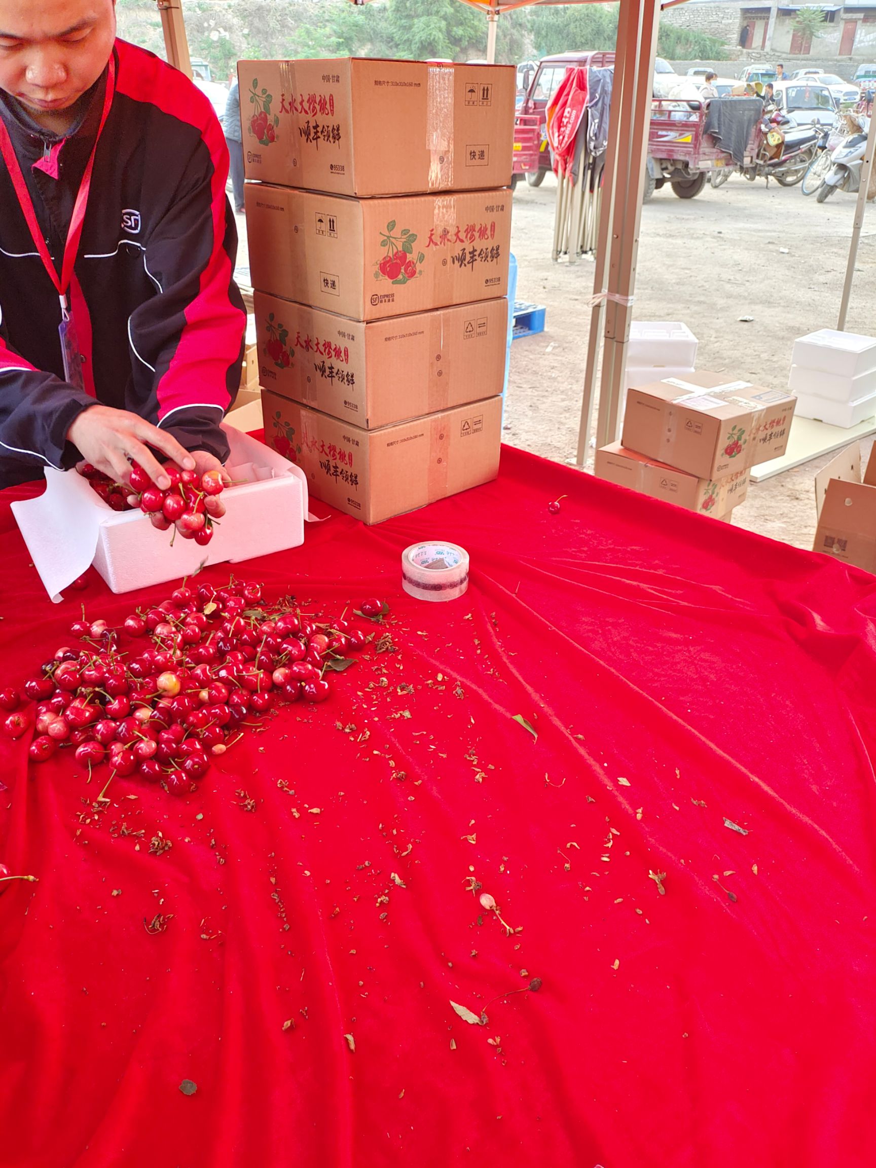 套袋车厘子美早 天水秦州烟铺高山产地大樱桃个大非常甜现摘现发
