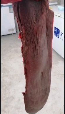 牛杂  牛沙干