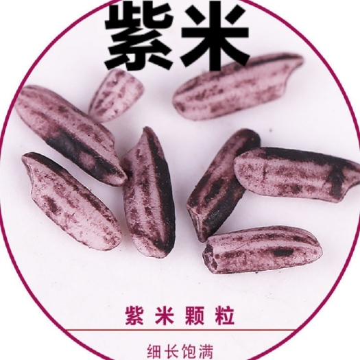 五常市紫米花青素之源超好吃e原产地直达你的餐桌软糯香甜二斤装包邮