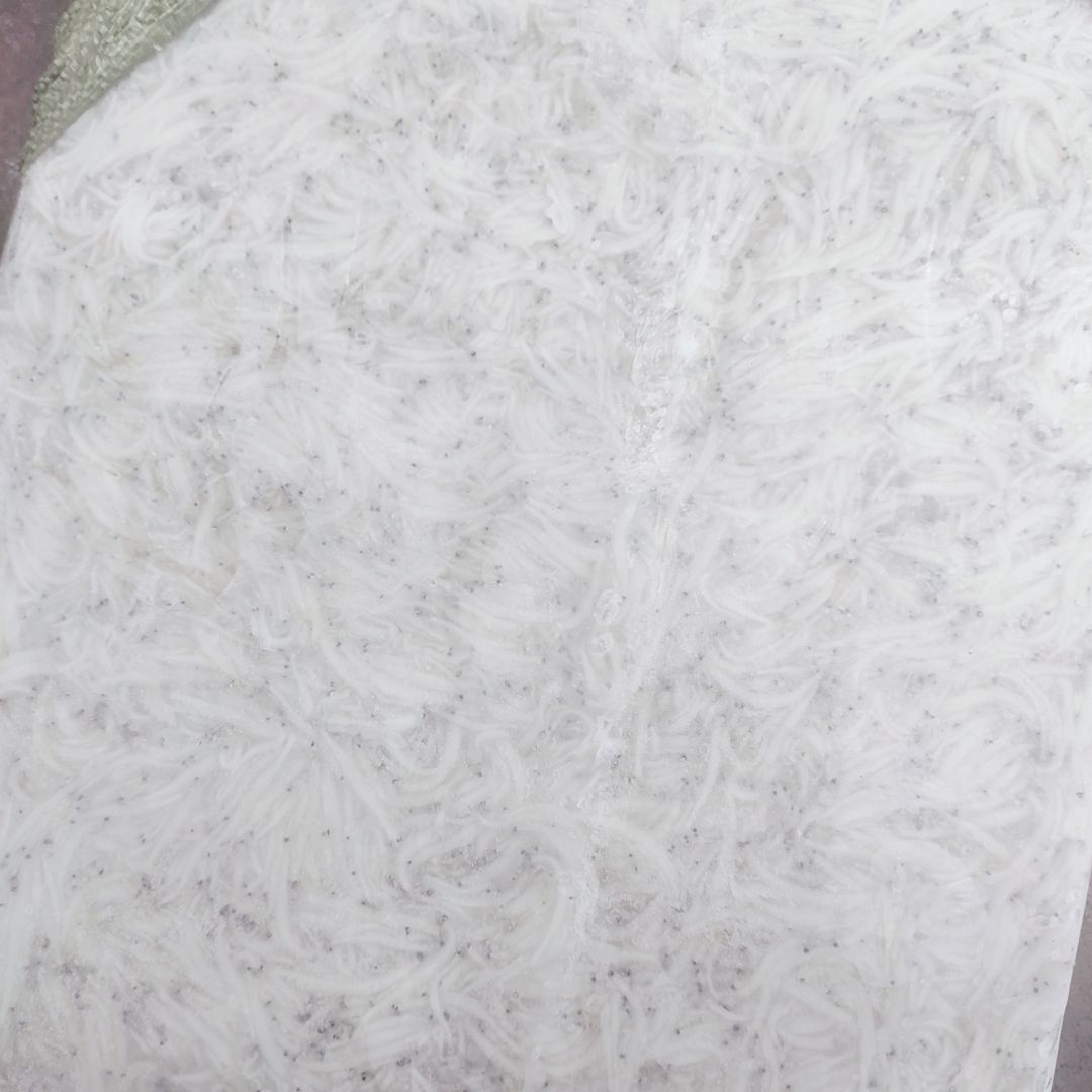  小3-5银鱼