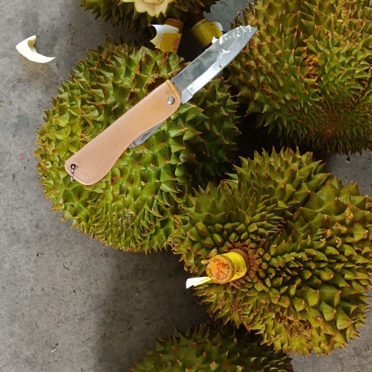 凭祥市金枕榴莲