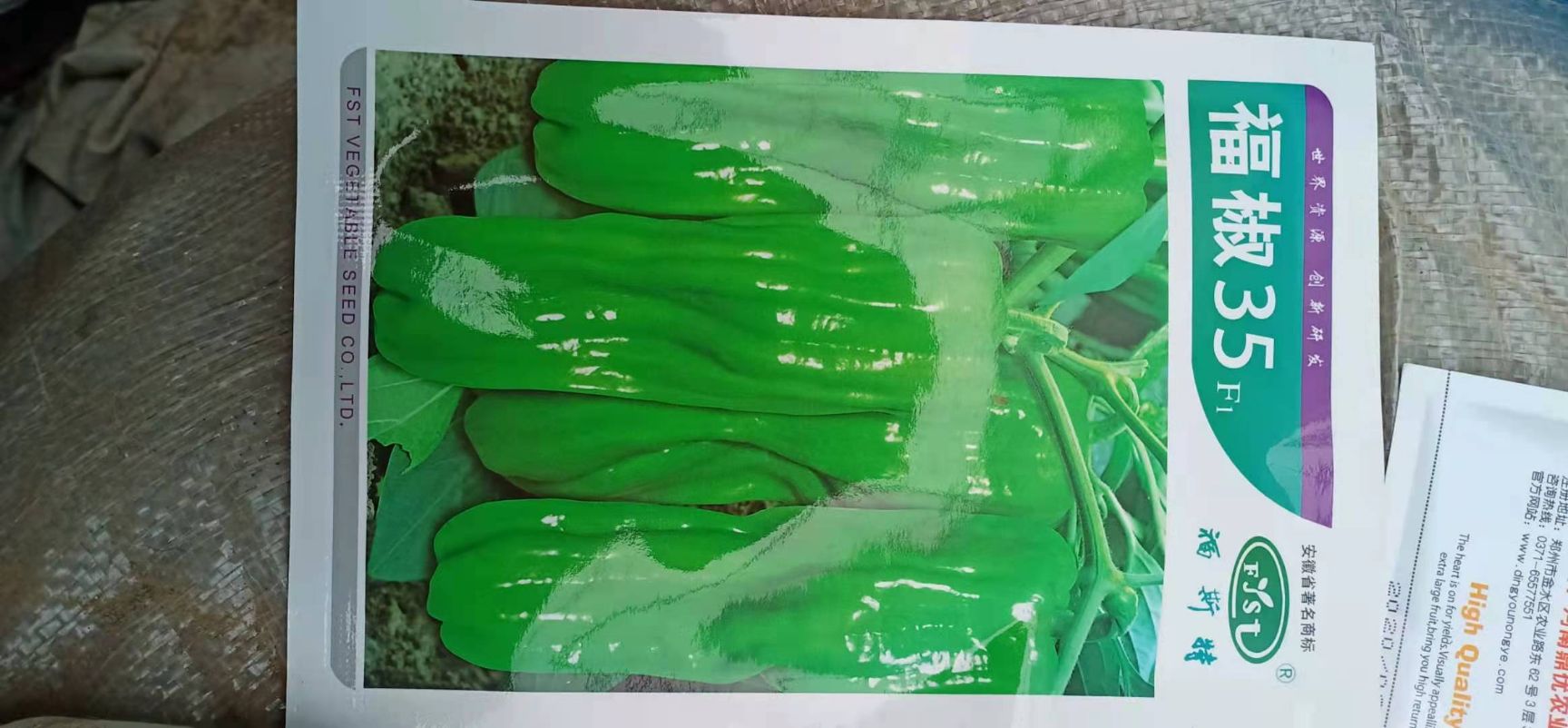 螺丝辣椒苗  辣椒苗，螺丝椒苗，薄皮椒苗，尖椒苗