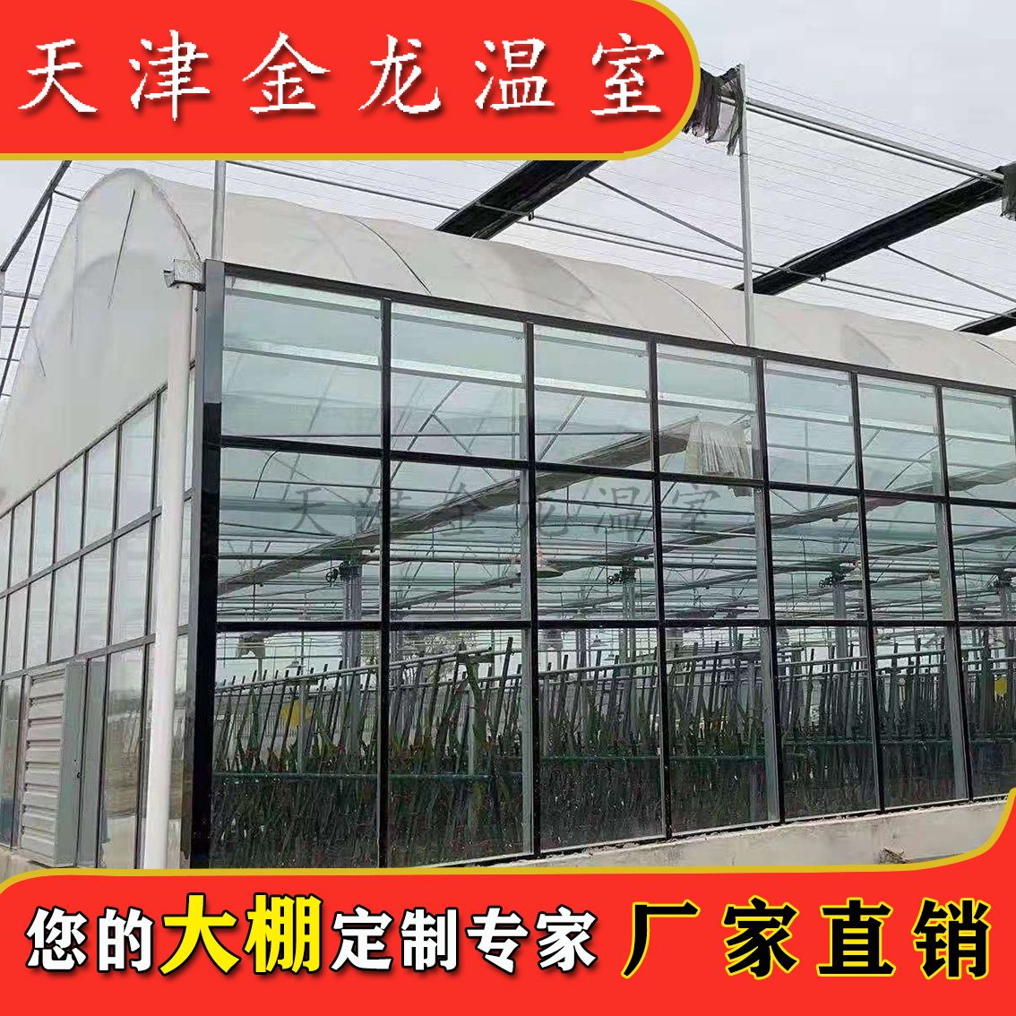 大棚骨架  蔬菜花卉瓜果大棚专用管 热镀锌椭圆管 圆管 方管