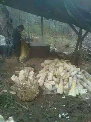 高山野生竹：火烤笋干