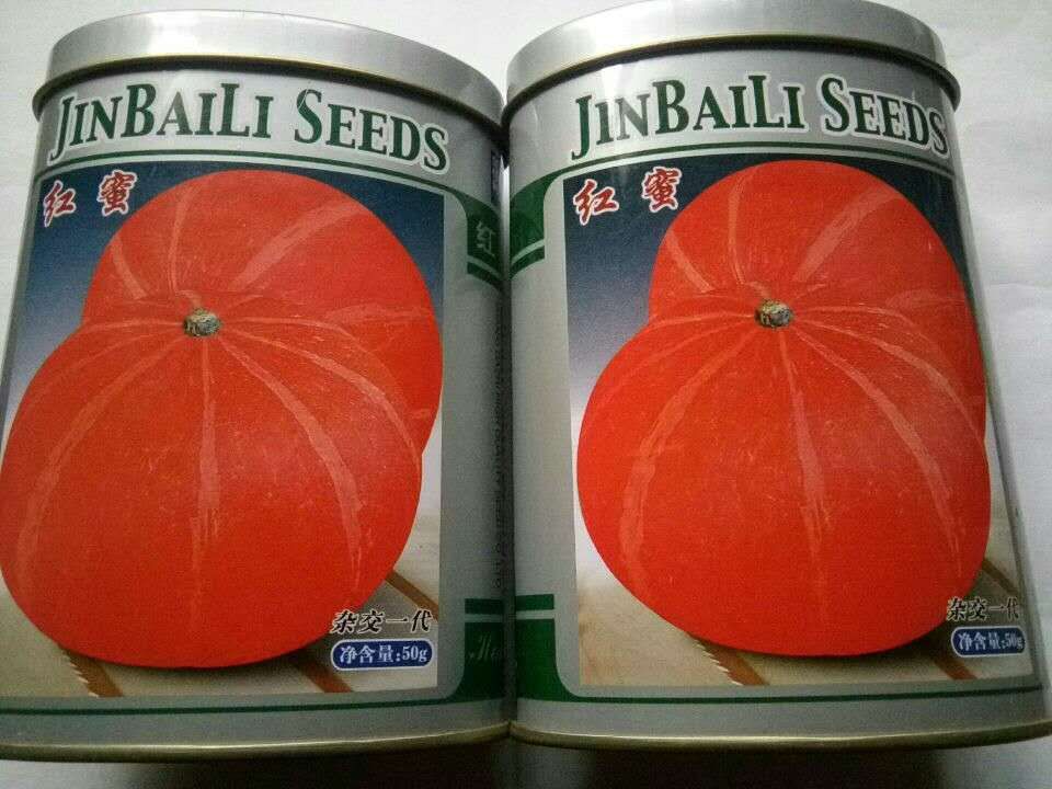 红蜜南瓜种子批发