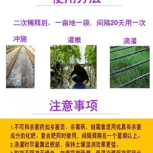 邯郸《淡紫拟青霉》专治根结线虫，根瘤病，提高作物品质改良土壤