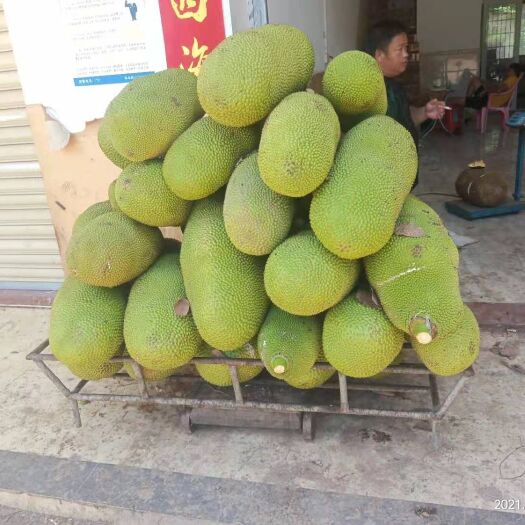 保亭县 海南菠萝蜜