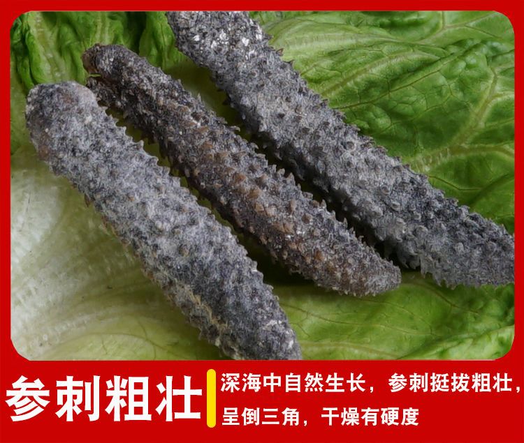 深海海参干货黑刺参大连海参白刺参海鲜干货米参刺参