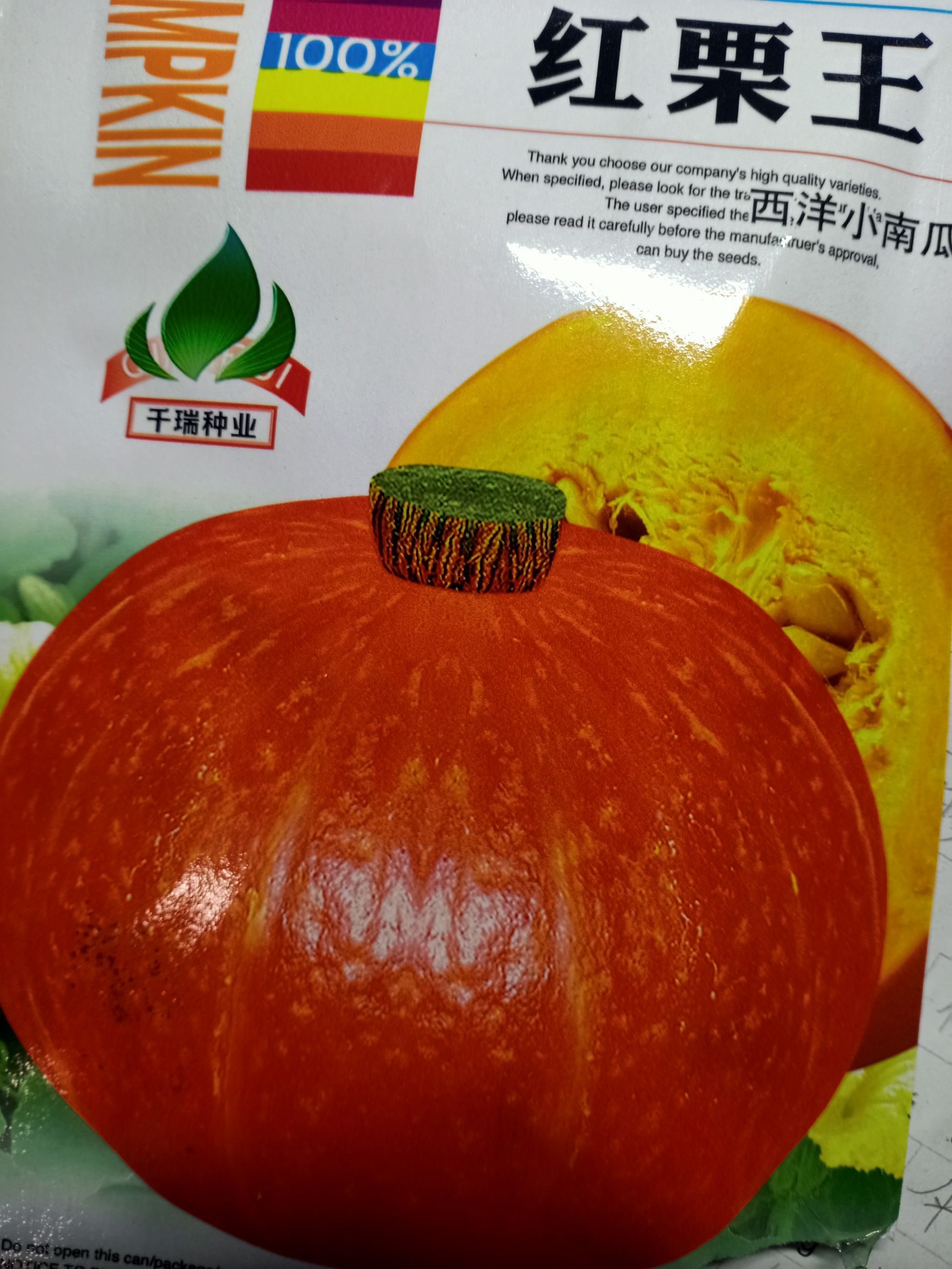 红蜜南瓜种子批发