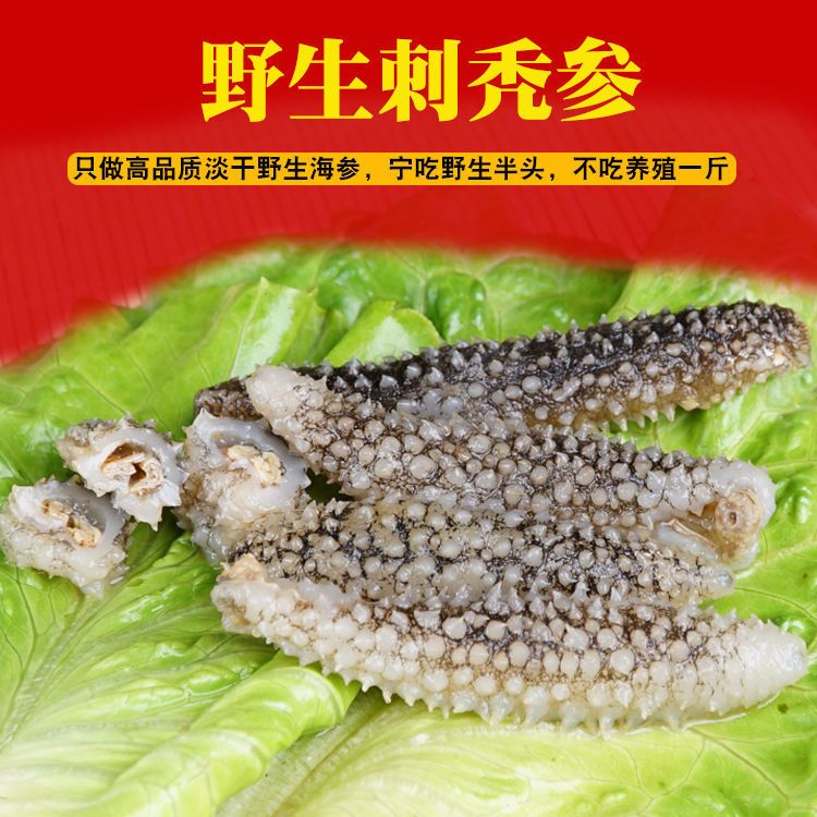 深海海参干货黑刺参大连海参白刺参海鲜干货米参刺参