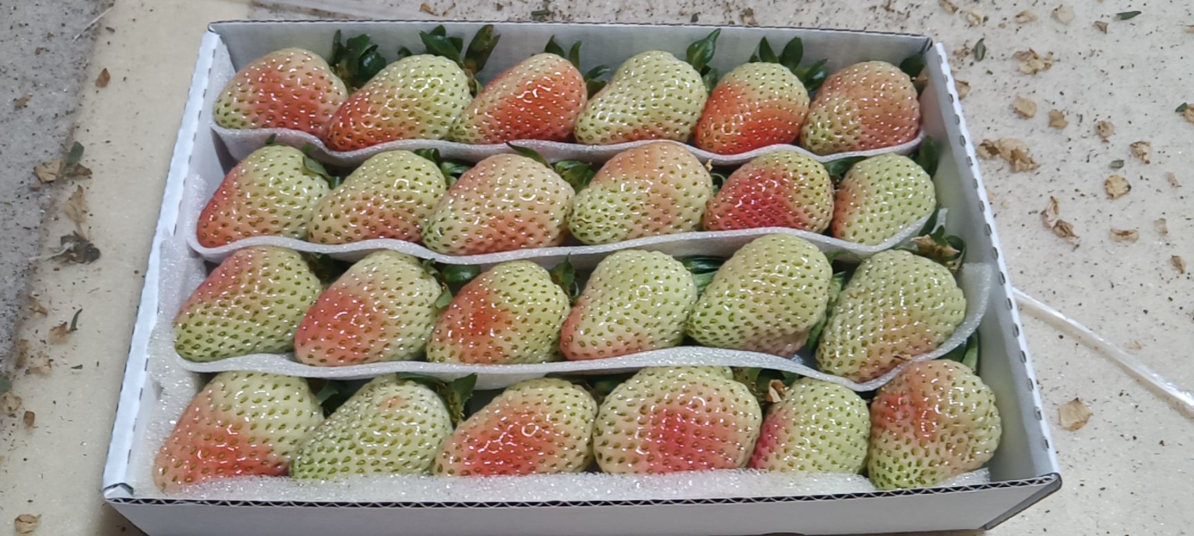 蒙特瑞草莓  云南省会泽县，金鑫草莓种植基地基地直销，发往全