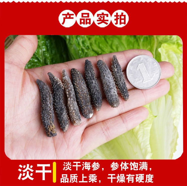 深海海参干货黑刺参大连海参白刺参海鲜干货米参刺参