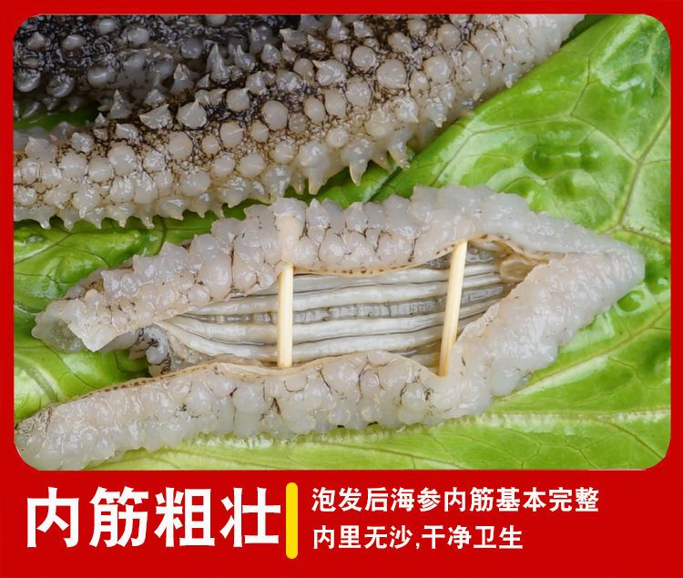 深海海参干货黑刺参大连海参白刺参海鲜干货米参刺参