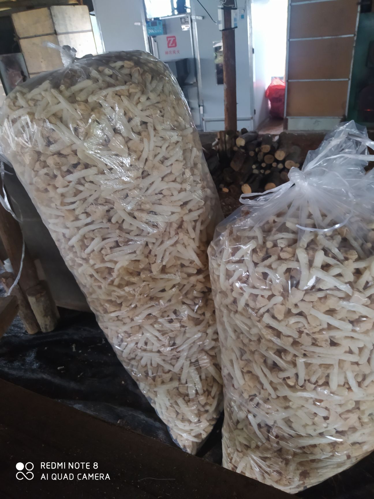 长裙竹荪  竹荪自产自销
