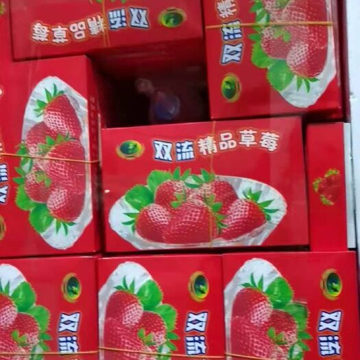 会泽县蒙特瑞草莓  云南省会泽县，金鑫草莓种植基地，基地直销发往全