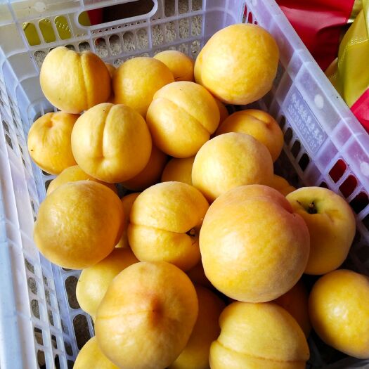 固始县锦绣黄桃  黄桃、毛桃、网购、