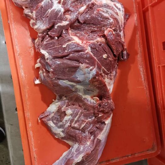 南京牛肉类 尾龙扒