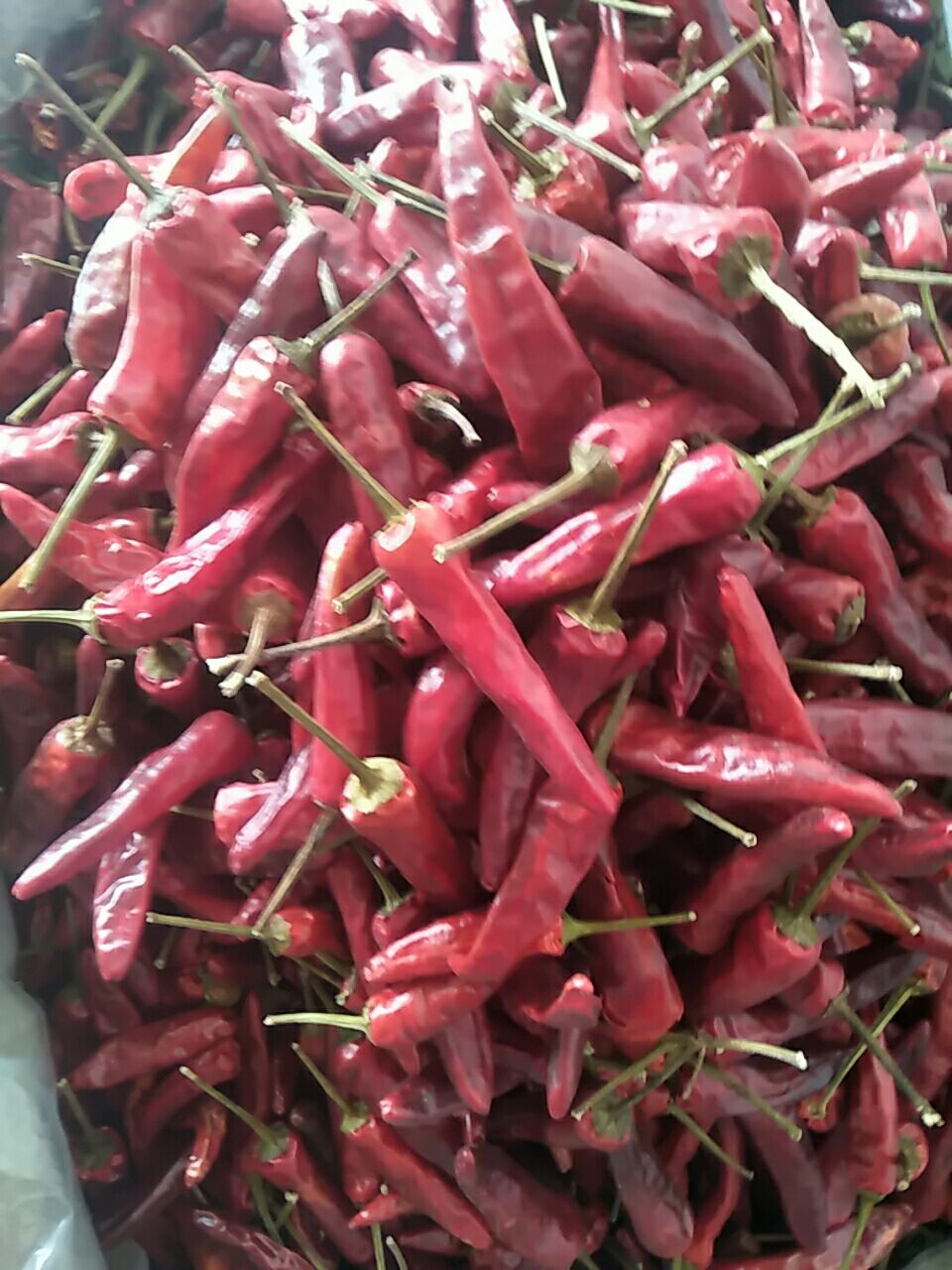 福建辣椒王