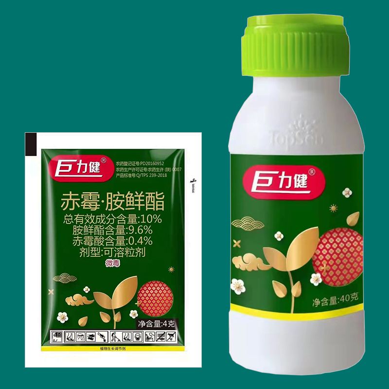 巨力健赤霉酸胺鲜酯大白菜调节生长植物生长调节剂