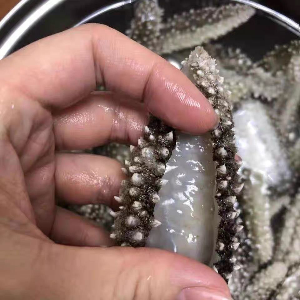 深海海参干货黑刺参大连海参白刺参海鲜干货米参刺参