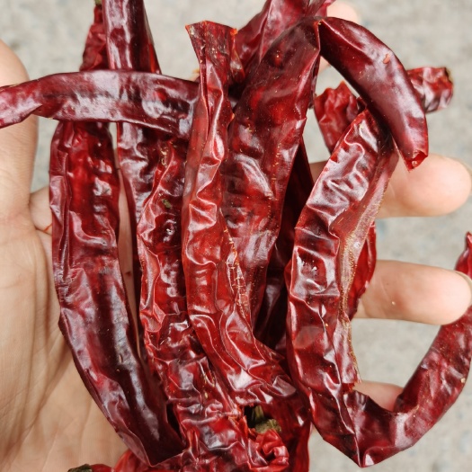 重庆市贵州海椒  二荆条