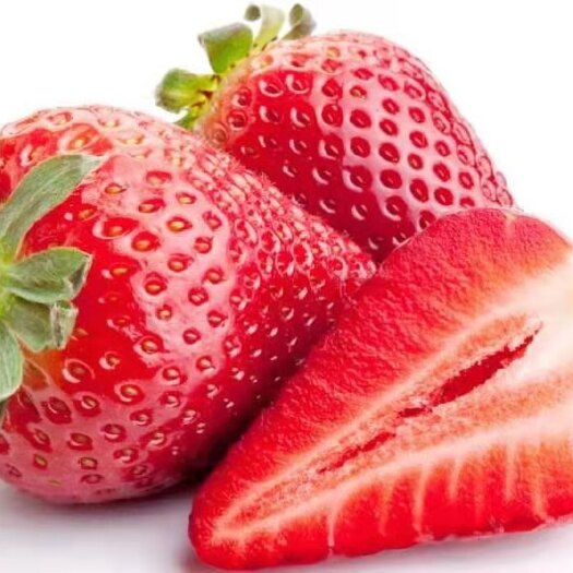云南金鑫草莓种植，夏季草莓已少量上市，基地直销，发往全国各地
