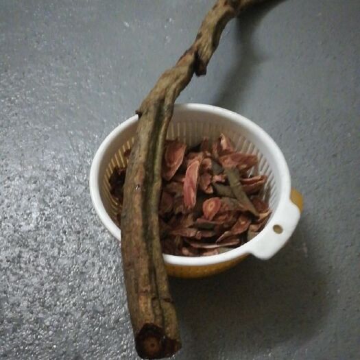 惠东县鸡血藤 