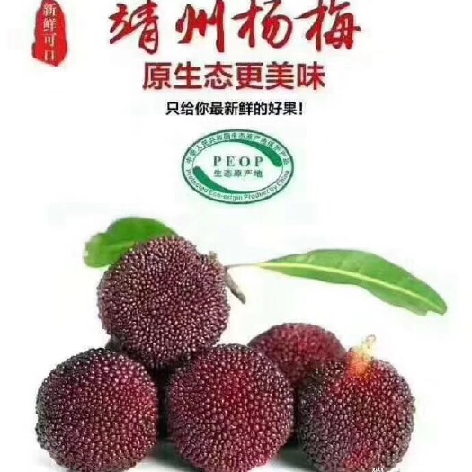 靖州县中国杨梅发源地  
中国杨梅之乡
靖州杨梅