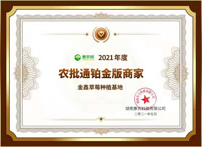 云南金鑫草莓种植基地，夏季草莓已大量上市，量发往全国各地包邮