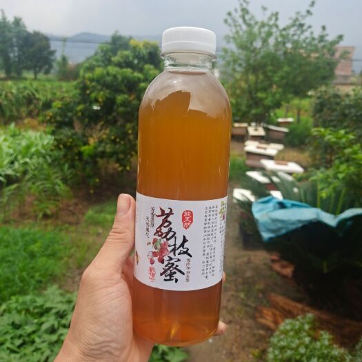 佛冈县2022中蜂荔枝蜜土蜂蜜丶真蜂蜜正宗天然深山成熟封盖蜜
