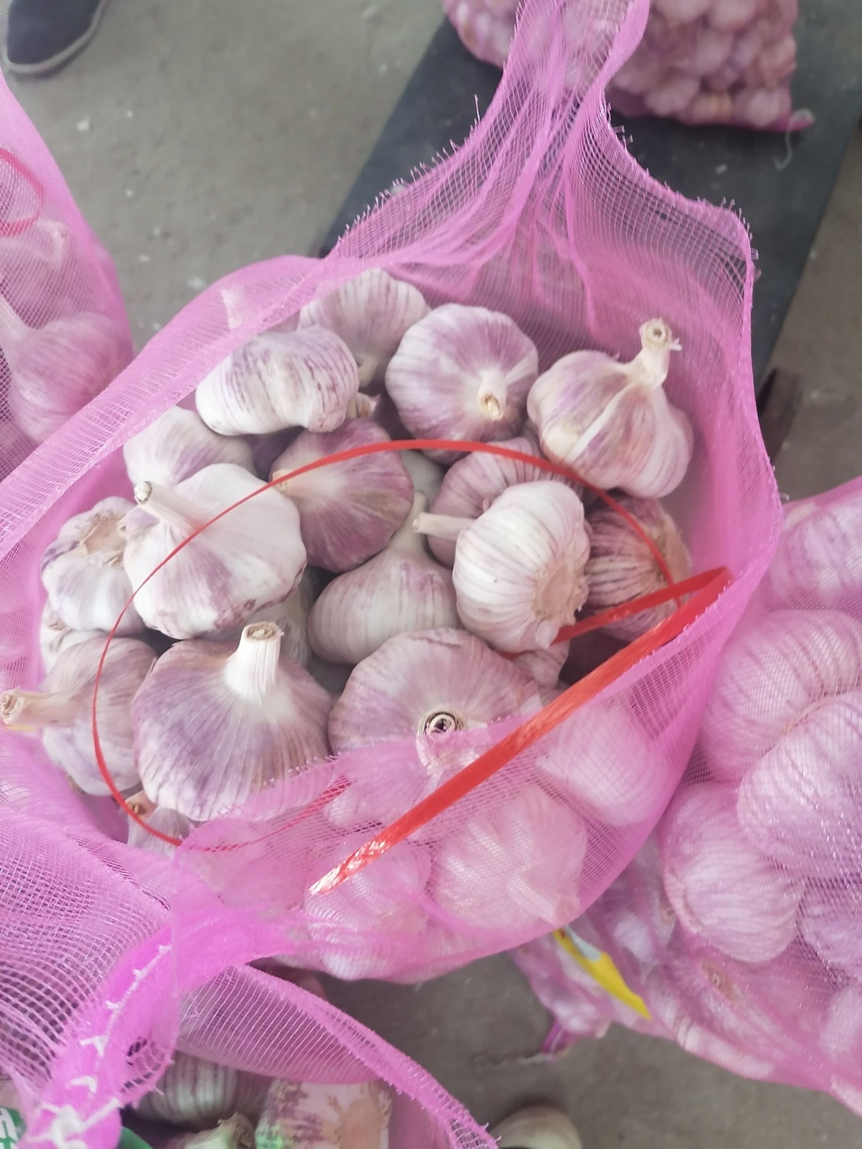 红皮蒜  净蒜，精品净蒜