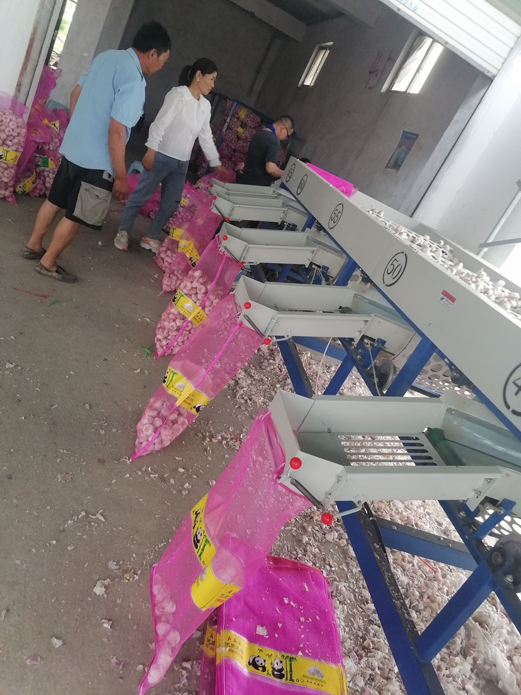 干蒜，红皮蒜，精品净蒜