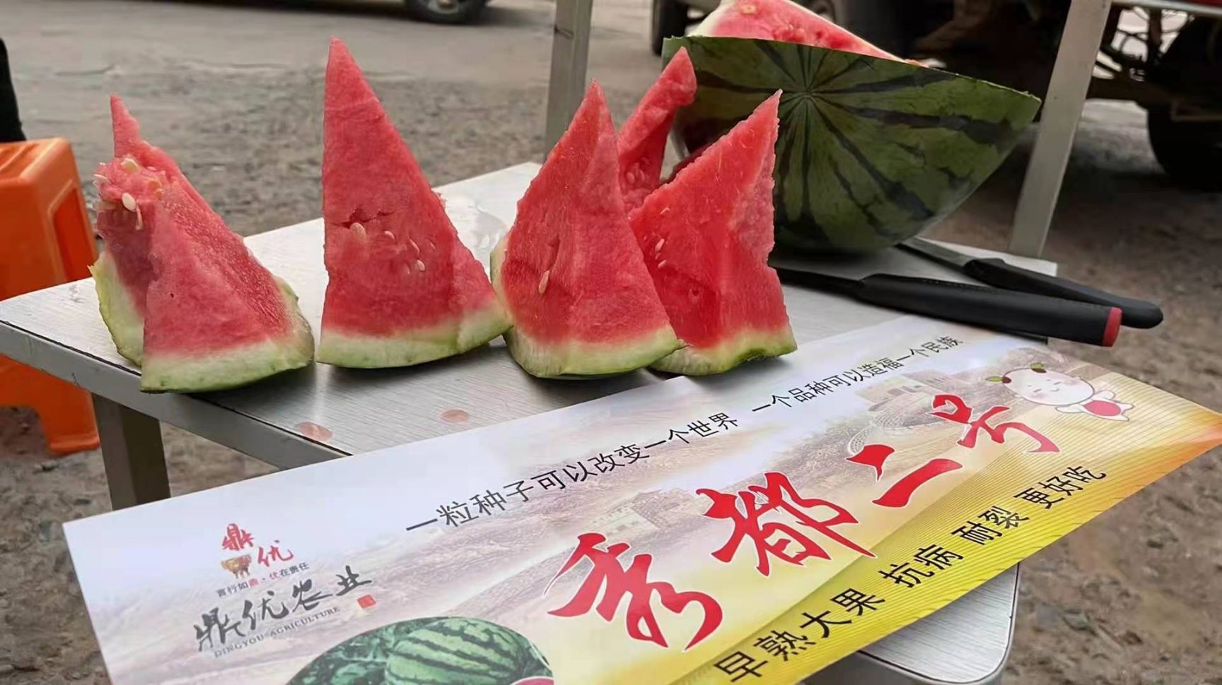 甜王西瓜  甜度大量上市中，货源充足，产地直供，专业产地代办