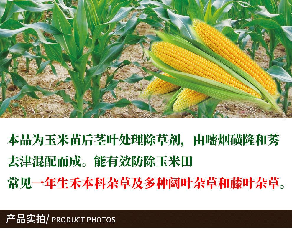 烟嘧莠去津  玉米地苗后专用除草剂杂草烂根型玉米田 玉米除草