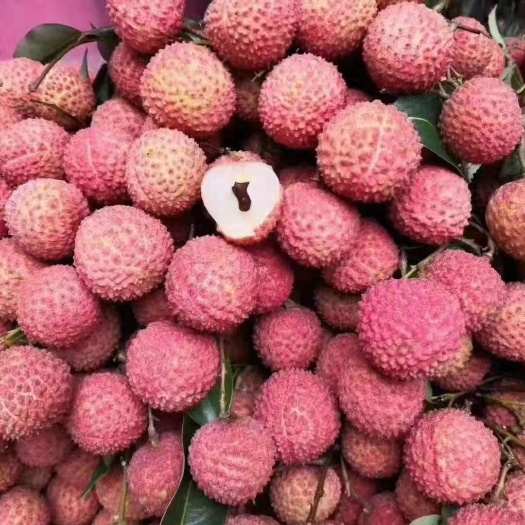 玉林桂味荔枝 桂味，荔枝中精品
