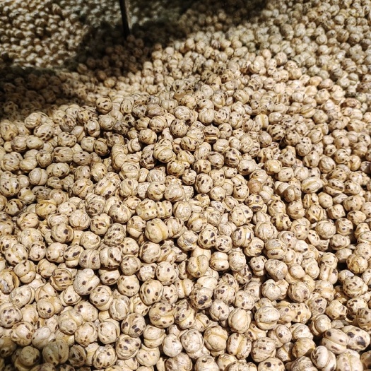  新疆特产  鹰嘴豆 味道独特 吃就有新鲜感 批发价 薄利多销