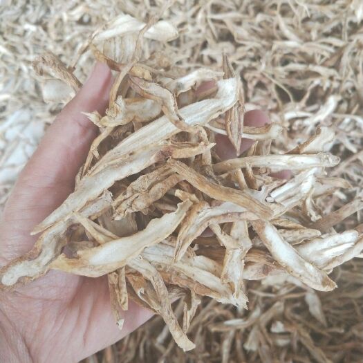 宁洱县百部切片