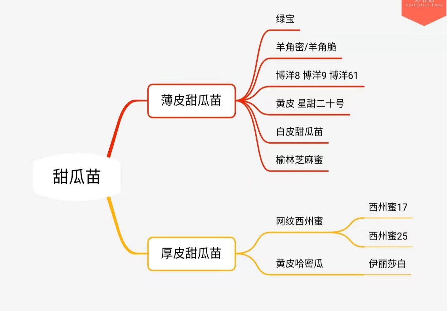 黄白皮甜瓜苗 嫁接星甜二十甜瓜苗 脆梨甜瓜苗 自根白皮甜瓜苗