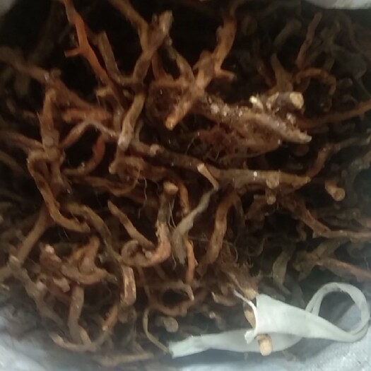 福贡县补骨脂  骨碎补，等。