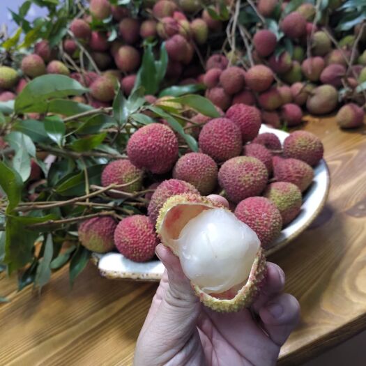 广州从化正宗特级妃子笑荔枝。