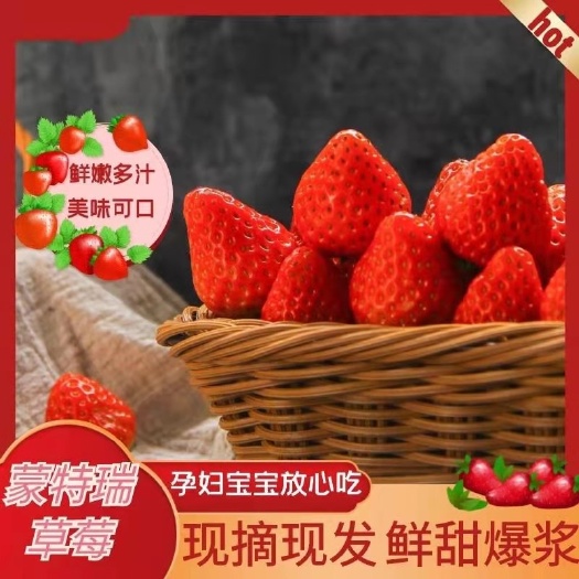 会泽县蒙特瑞草莓  云南省会泽县，金鑫草莓种植基地，基地直销，草莓